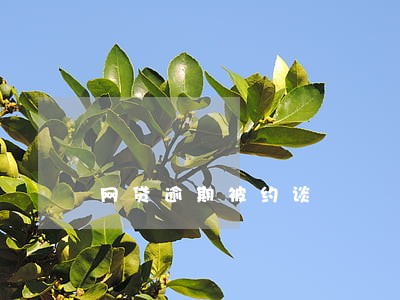 网贷逾期被约谈 网贷逾期被约谈