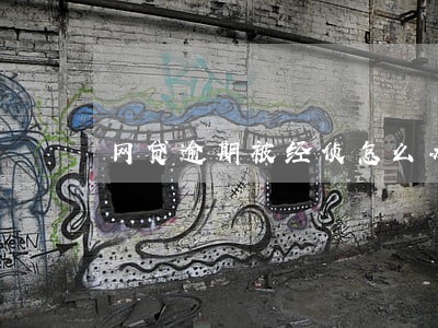 网贷逾期被经侦怎么办 网贷逾期被经侦怎么办