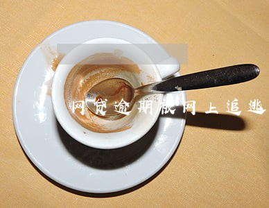 网贷逾期被网上追逃 网贷逾期被网上追逃