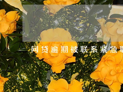网贷逾期被联系紧急联系人 网贷逾期被联系紧急联系人