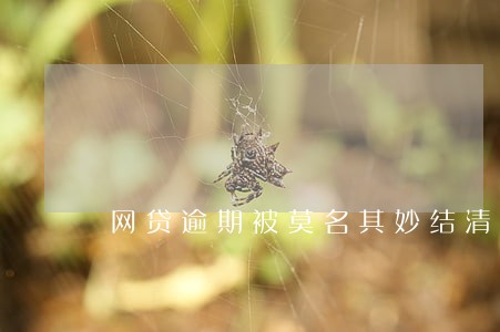 网贷逾期被莫名其妙结清 网贷逾期被莫名其妙结清