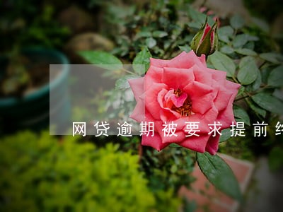 网贷逾期被要求提前终止合同