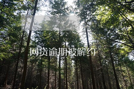 网贷逾期被解约