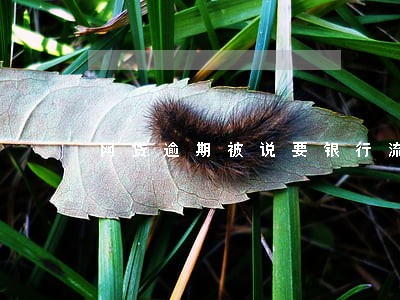 网贷逾期被说要银行流水 网贷逾期被说要银行流水