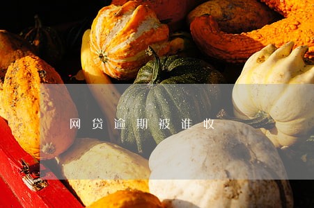 网贷逾期被谁收 网贷逾期被谁收