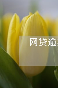 网贷逾期被财产保全 网贷逾期被财产保全