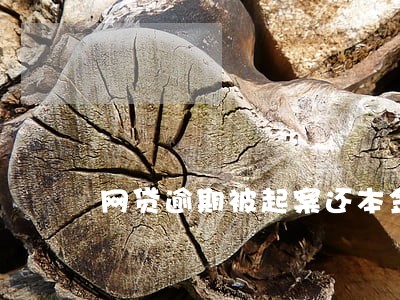 网贷逾期被起案还本金 网贷逾期被起案还本金