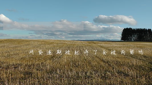 网贷逾期被起诉了会被拘留吗 网贷逾期被起诉了会被拘留吗