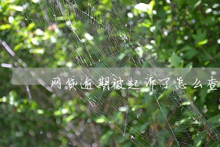 网贷逾期被起诉了怎么查询 网贷逾期被起诉了怎么查询