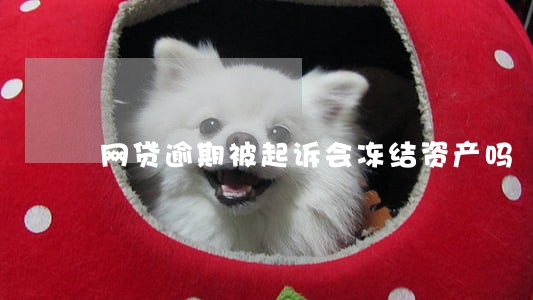 网贷逾期被起诉会冻结资产吗 网贷逾期被起诉会冻结资产吗