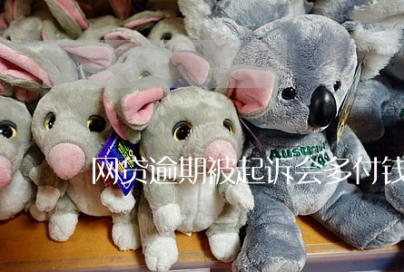 网贷逾期被起诉会多付钱吗 网贷逾期被起诉会多付钱吗