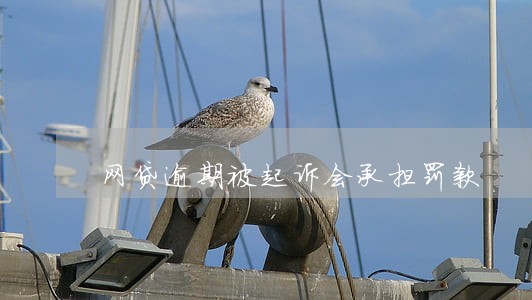 网贷逾期被起诉会承担罚款 网贷逾期被起诉会承担罚款