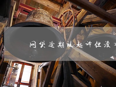 网贷逾期被起诉但没有任何资产 网贷逾期被起诉但没有任何资产