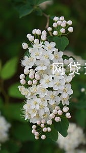 网贷逾期被起诉出庭法院 网贷逾期被起诉出庭法院