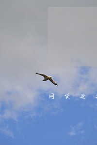 网贷逾期被起诉刑事案件 网贷逾期被起诉刑事案件