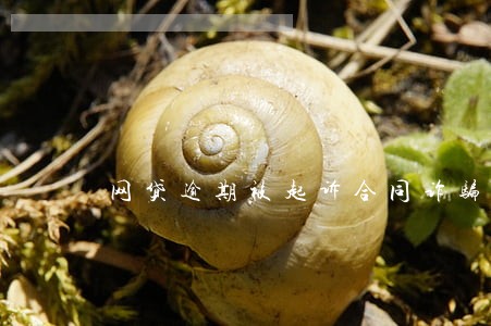 网贷逾期被起诉合同诈骗 网贷逾期被起诉合同诈骗