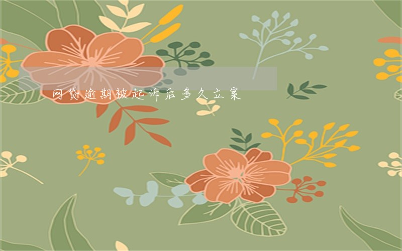 网贷逾期被起诉后多久立案