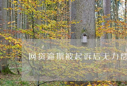 网贷逾期被起诉后无力偿还 网贷逾期被起诉后无力偿还