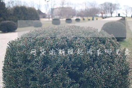 网贷逾期被起诉在哪里查 网贷逾期被起诉在哪里查