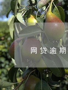 网贷逾期被起诉坐牢多久 网贷逾期被起诉坐牢多久