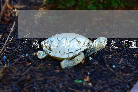网贷逾期被起诉多久下通知 网贷逾期被起诉多久下通知