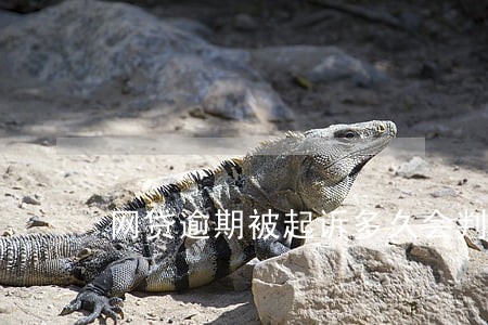 网贷逾期被起诉多久会判决 网贷逾期被起诉多久会判决