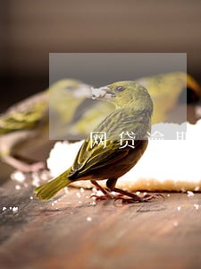 网贷逾期被起诉如何应对 网贷逾期被起诉如何应对