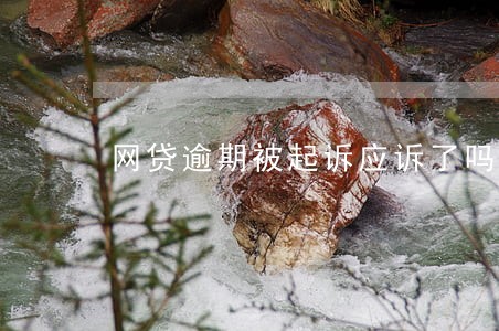 网贷逾期被起诉应诉了吗 网贷逾期被起诉应诉了吗