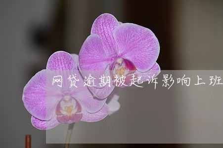 网贷逾期被起诉影响上班吗 网贷逾期被起诉影响上班吗