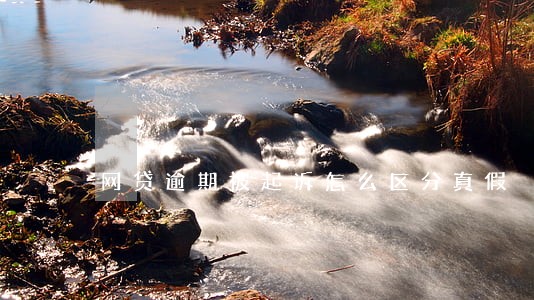 网贷逾期被起诉怎么区分真假 网贷逾期被起诉怎么区分真假