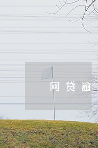 网贷逾期被起诉法院会判分期还么 网贷逾期被起诉法院会判分期还么