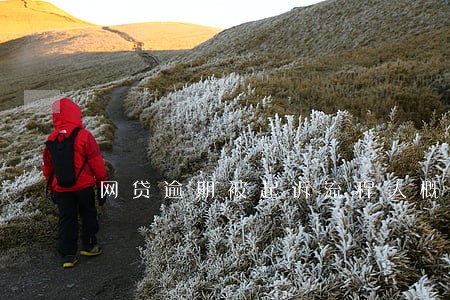 网贷逾期被起诉流程大概要多久 网贷逾期被起诉流程大概要多久