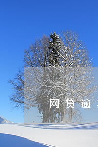 网贷逾期被起诉的真实案例 网贷逾期被起诉的真实案例