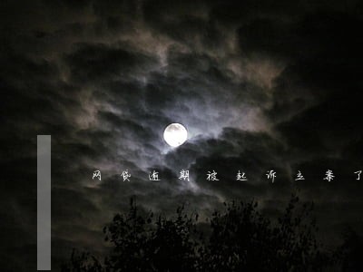网贷逾期被起诉立案了怎么处理 网贷逾期被起诉立案了怎么处理