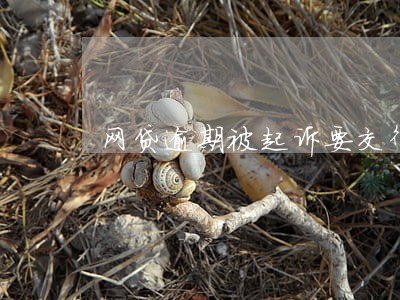 网贷逾期被起诉要交律师费吗 网贷逾期被起诉要交律师费吗