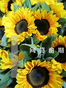 网贷逾期被起诉要找律师吗 网贷逾期被起诉要找律师吗