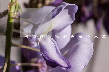 网贷逾期被起诉要本人去吗