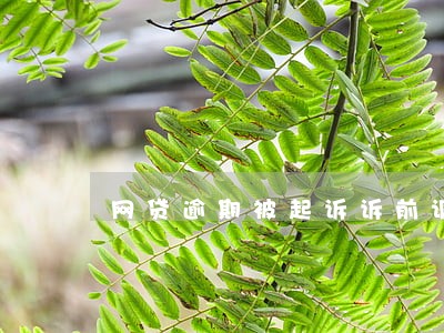 网贷逾期被起诉诉前调解 网贷逾期被起诉诉前调解