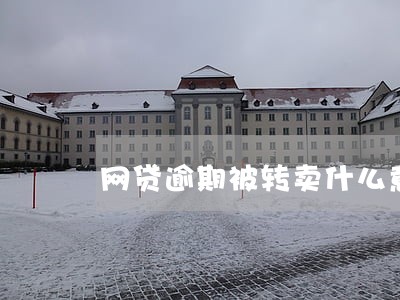 网贷逾期被转卖什么意思