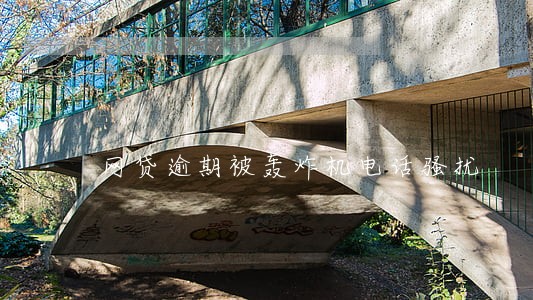 网贷逾期被轰炸机电话骚扰 网贷逾期被轰炸机电话骚扰