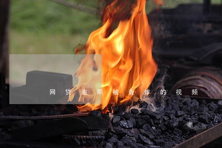 网贷逾期被轰炸的视频 网贷逾期被轰炸的视频