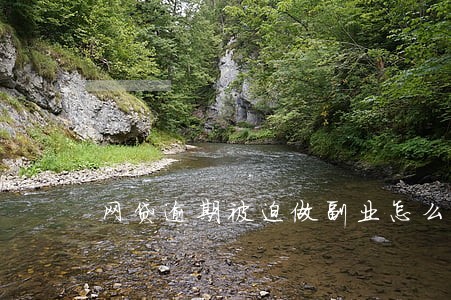 网贷逾期被迫做副业怎么办 网贷逾期被迫做副业怎么办