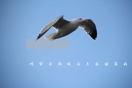 网贷逾期被追怎么回答好