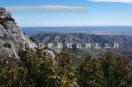 网贷逾期被追逃怎么办 网贷逾期被追逃怎么办