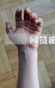 网贷逾期被送律师函 网贷逾期被送律师函