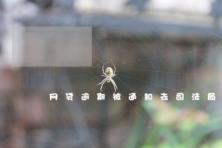 网贷逾期被通知去司法局签字 网贷逾期被通知去司法局签字