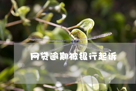网贷逾期被银行起诉 网贷逾期被银行起诉