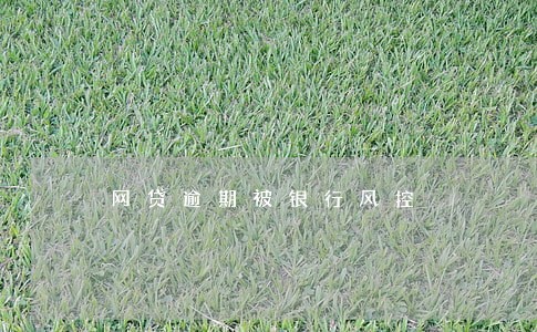 网贷逾期被银行风控 网贷逾期被银行风控