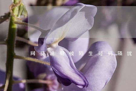 网贷逾期被陌生号码骚扰 网贷逾期被陌生号码骚扰