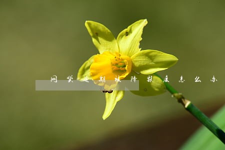 网贷逾期被降额度怎么办 网贷逾期被降额度怎么办